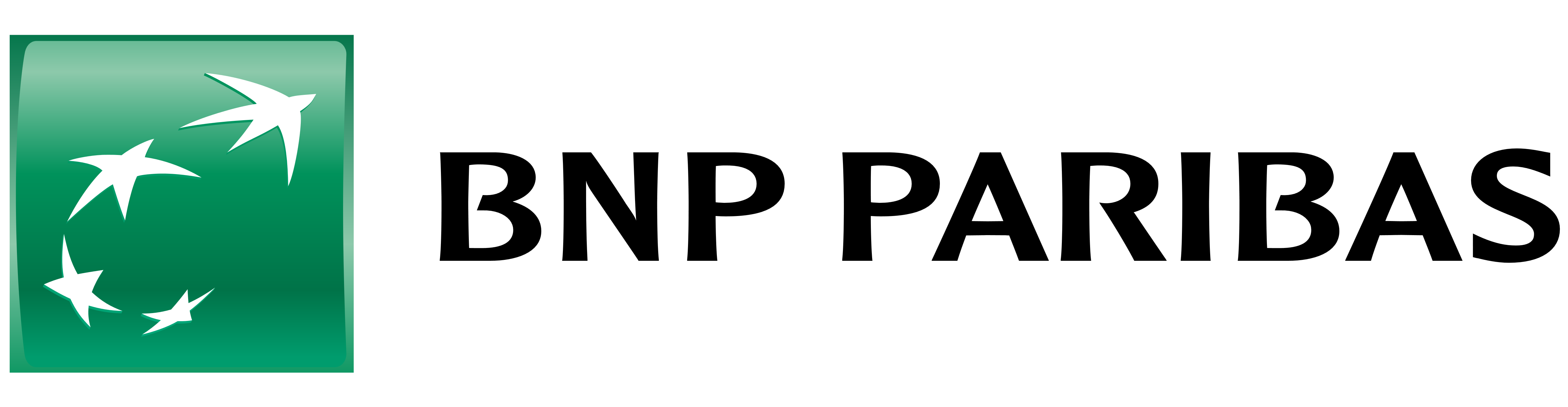 Logo - BNP PARIBAS